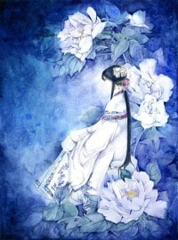 暗黑帝王林凡白伊
