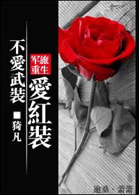 不愛武裝愛紅裝（軍旅重生）